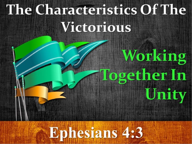 working-together-in-unity-revive-outreach-church